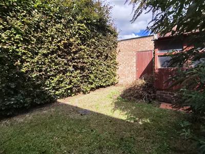 Picture 17